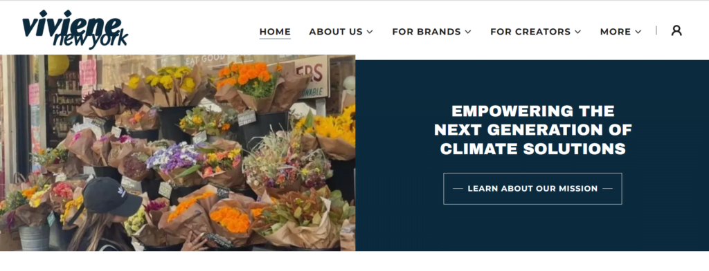 A screenshot of the homepage of Viviene New York's website
