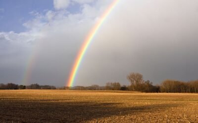 Finding Hope in a Changing Climate: Strategies for Coping and Thriving
