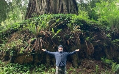 Art as Activism: Unveiling the Creative Journey of Rick Frausto