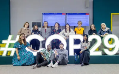 Empowering Young Voices at COP29: The Journey of the Youth Negotiators Academy